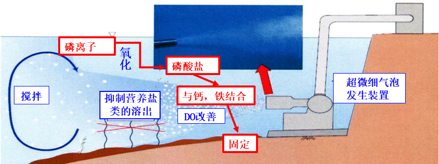 超微细气泡改善水质效果图