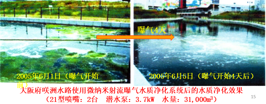 大阪府咲洲水路使用微纳米射流曝气水质净化系统后的水质净化效果