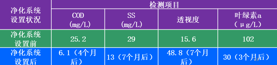 净化系统启动3~7个月后水质改善效果